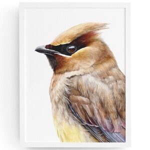 Watercolor Cedar Waxwing Bird Portrait Wall Art Print, Unframed - Vibrant Nature